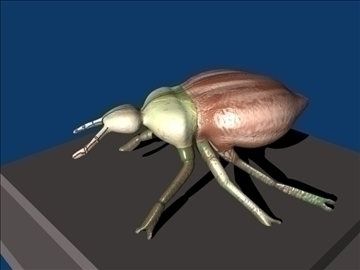 beetle 3d model blend lwo 106516