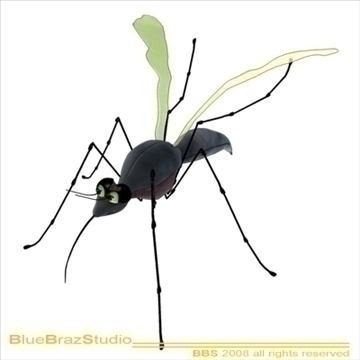 mosquito cartoon 3d model 3ds dxf c4d obj 109938