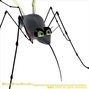 mosquito cartoon 3d model 3ds dxf c4d obj 109942