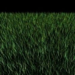 grass 3d model max 111884