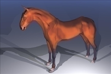 horse v3 3d model max 91706