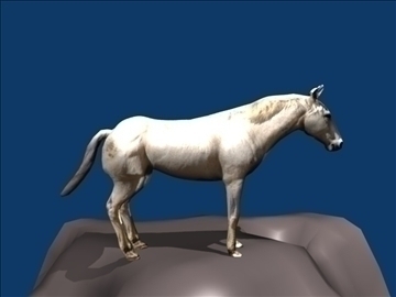 white horse 3d model blend 108604