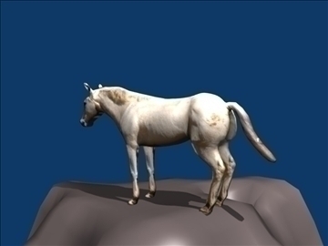 white horse 3d model blend 108608