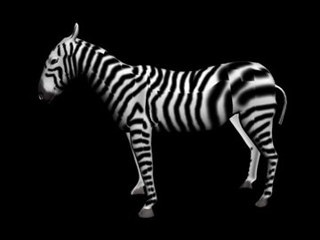 Zebra 3d Model Flatpyramid