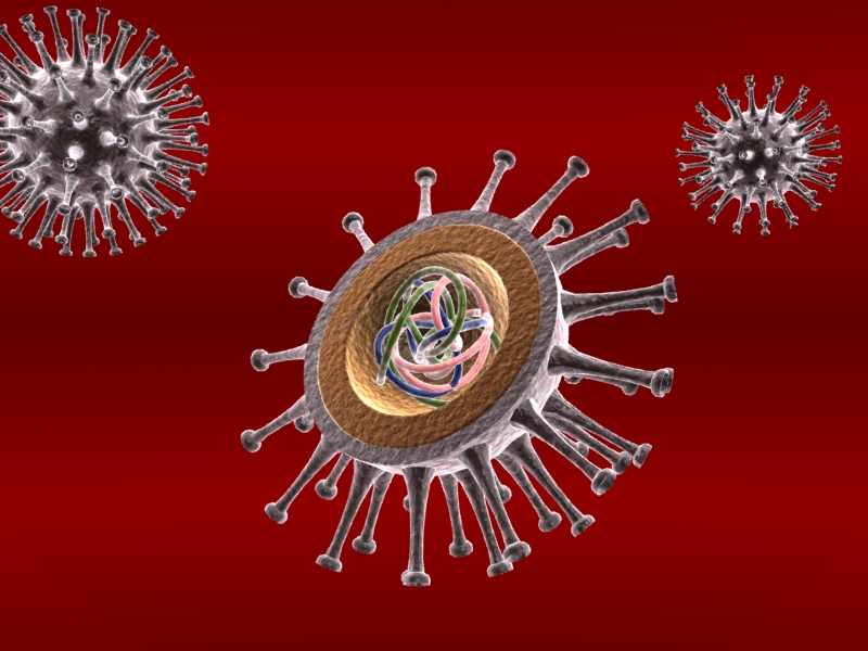 flu virus 3d model max 150314