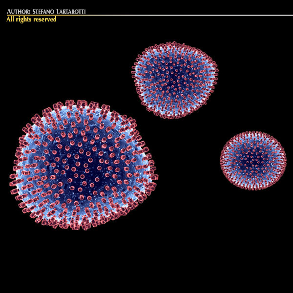 lymphocytic choriomeningitis virus 3d model 3ds dxf c4d obj 116814