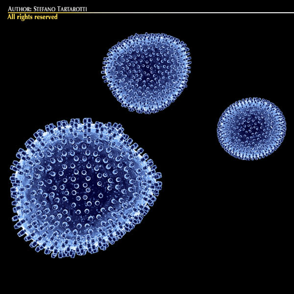 lymphocytic choriomeningitis virus 3d model 3ds dxf c4d obj 116815