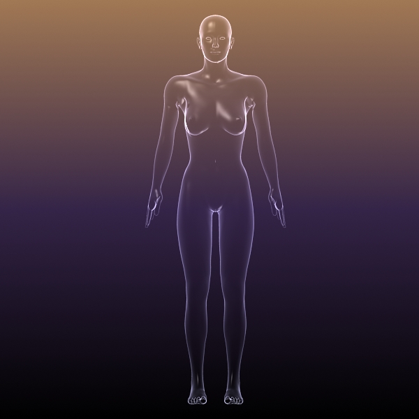 female body anatomy 3d model 3ds max dxf dwg fbx cob c4d dae x lwo hrc xsi  obj 116163