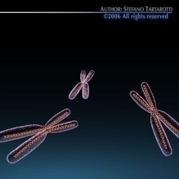 chromosome with dna 3d model c4d 3ds obj 78070