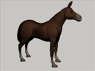 horses 3d model max 109332