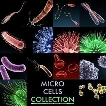micro cells models collection 3d model c4d 3ds obj 78127