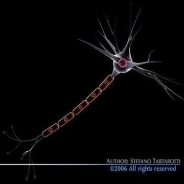 neuron cell 3d model c4d 3ds obj 78100