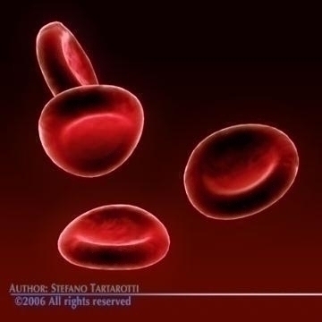 red blood cells 3d model c4d 3ds obj 78104