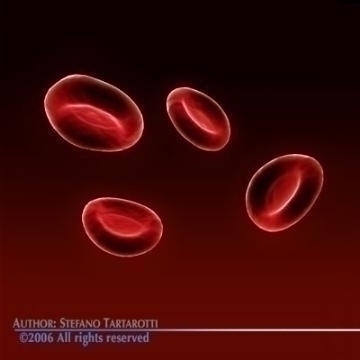 red blood cells 3d model c4d 3ds obj 78105