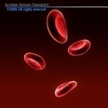 red blood cells 3d model c4d 3ds obj 78106