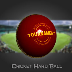 cricket hard ball 3d model 3ds max obj 115556