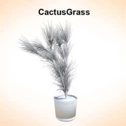 cactus grass 3d model 3ds fbx c4d lwo ma mb hrc xsi obj 123737