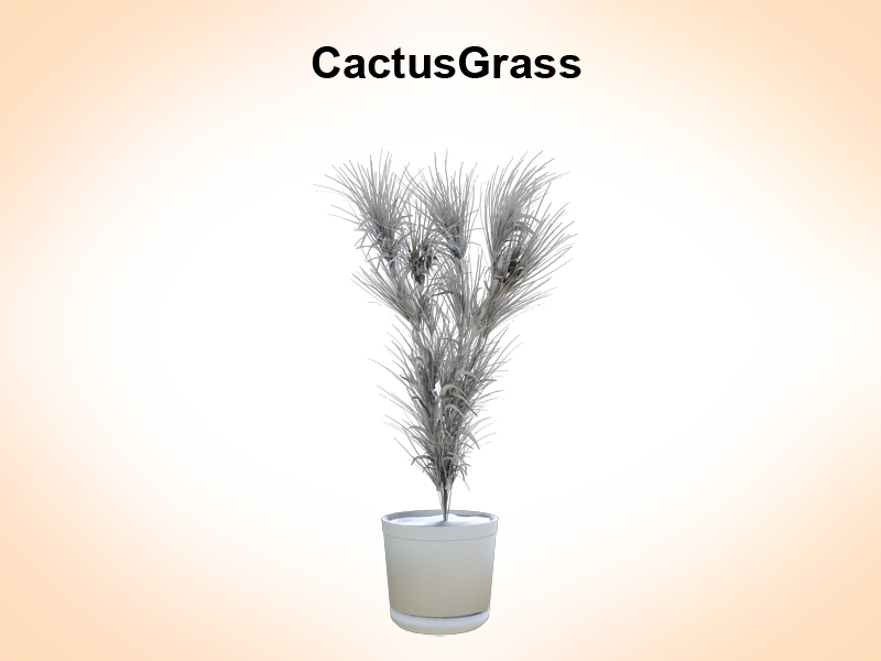 cactus grass 3d model 3ds fbx c4d lwo ma mb hrc xsi obj 123738