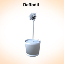 daffodil 3d model 3ds fbx c4d lwo ma mb hrc xsi obj 122309