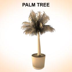 palm tree young 3d model 3ds fbx c4d lwo ma mb hrc xsi obj 123587