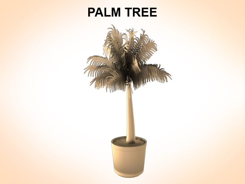 palm tree young 3d model 3ds fbx c4d lwo ma mb hrc xsi obj 123587