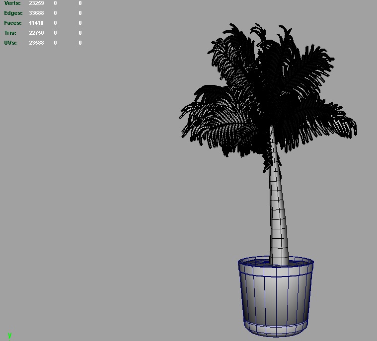 palm tree young 3d model 3ds fbx c4d lwo ma mb hrc xsi obj 123590