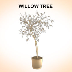 willow tree 3d model 3ds fbx c4d lwo ma mb hrc xsi obj 123677