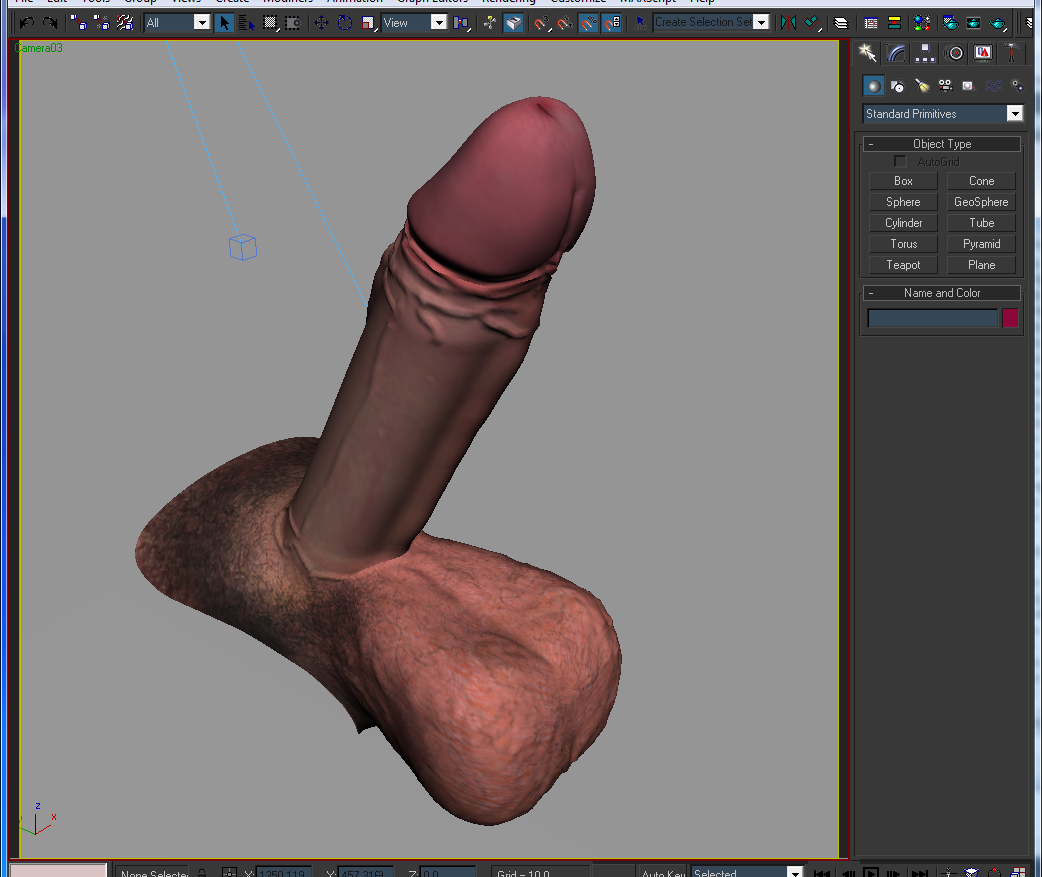 penis male anatomy genitals 3d model 3ds max dxf fbx c4d lwo hrc xsi texture obj 117797