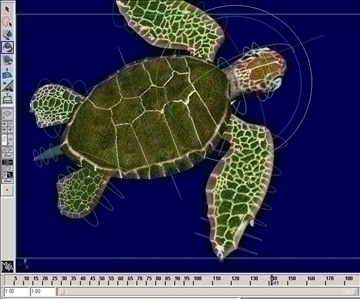 sea turtle 3d model ma mb 85529
