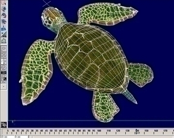 sea turtle 3d model ma mb 85533