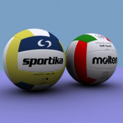 volleyball 3d model 3ds max obj 114304