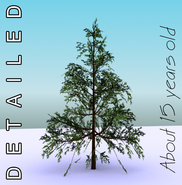 gameready low poly tree pack 1 (lawson’s cypress) 3d model 3ds max fbx c4d x ma mb texture obj 129577